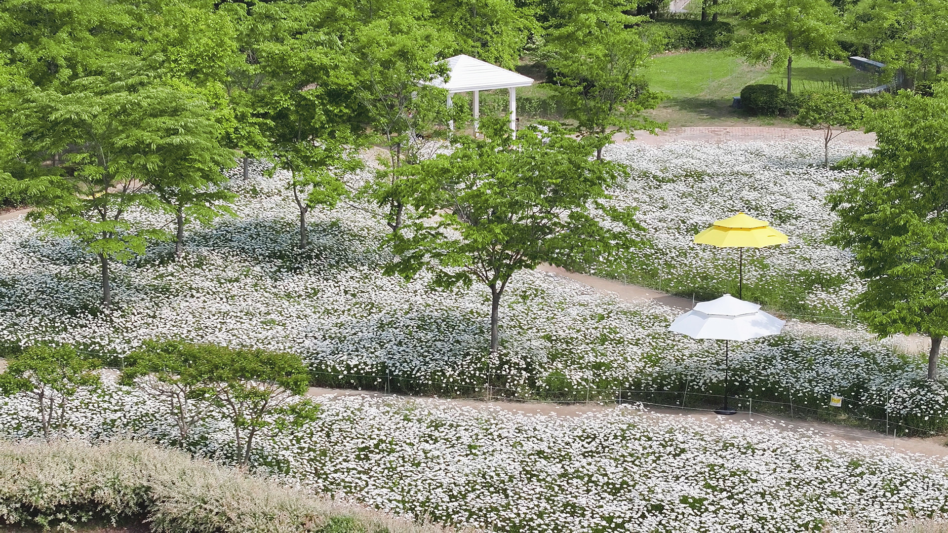 악양생태공원